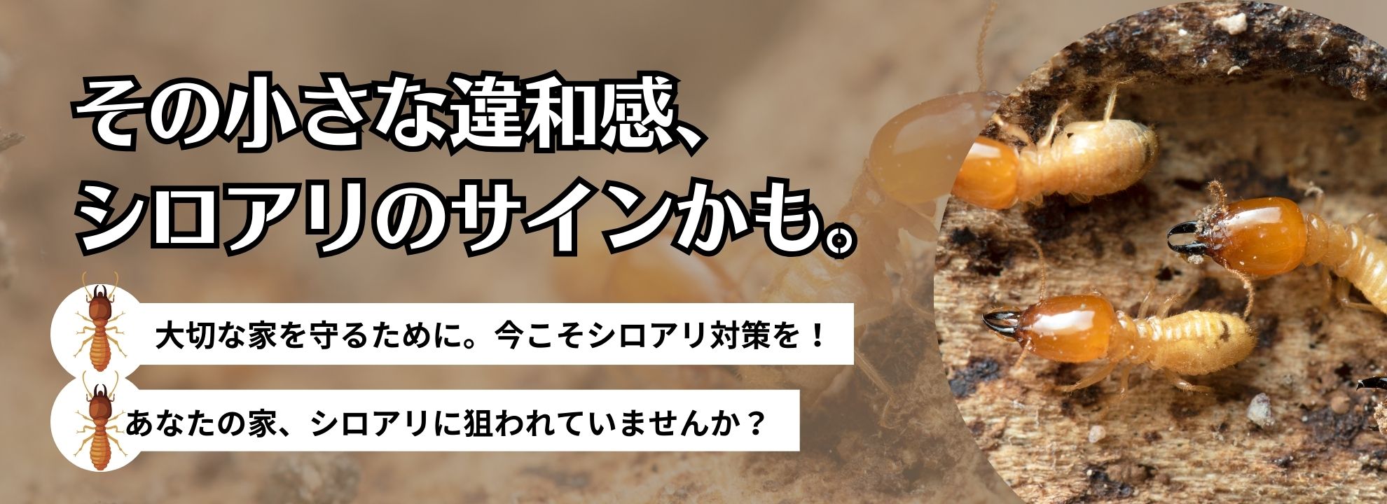 その小さな違和感、シロアリのサインかも。
